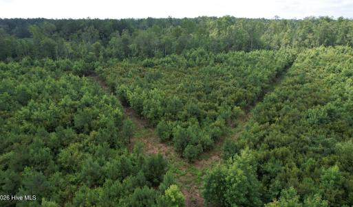 dji_fly_20230710_103840_579_168900019325