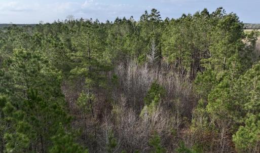 DJI_20260401083817_0995_D