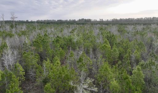 DJI_20260401083142_0976_D