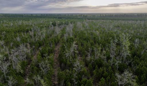 DJI_20260401083124_0975_D (1)