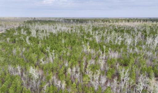 DJI_20260401083147_0977_D