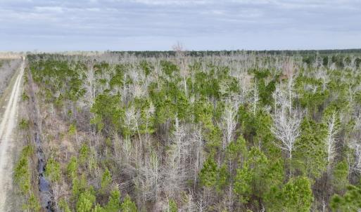 DJI_20260401083352_0984_D