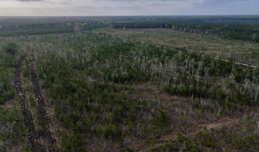 DJI_20260401082947_0969_D