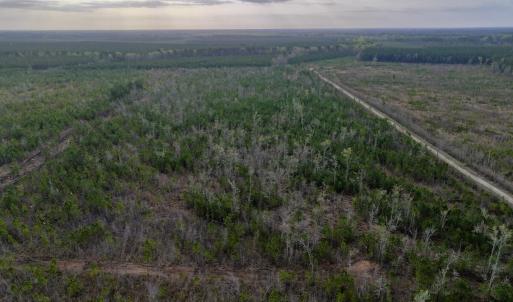 DJI_20260401083008_0970_D