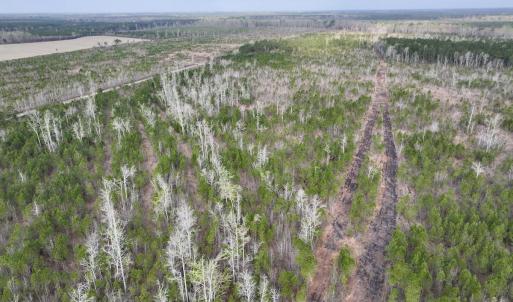 DJI_20260401082759_0968_D