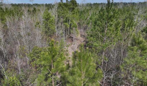 DJI_20260408155109_0056_D