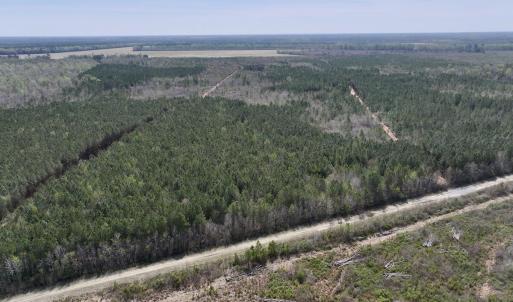 Photo #1 of Guinea Mill, Ernul, NC 55.0 acres