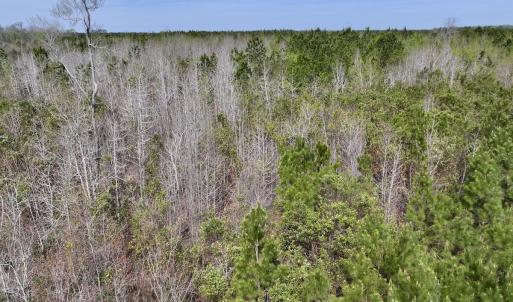 DJI_20260408111308_0039_D