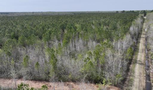 DJI_20260408153807_0047_D