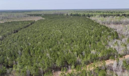 DJI_20260408153751_0046_D