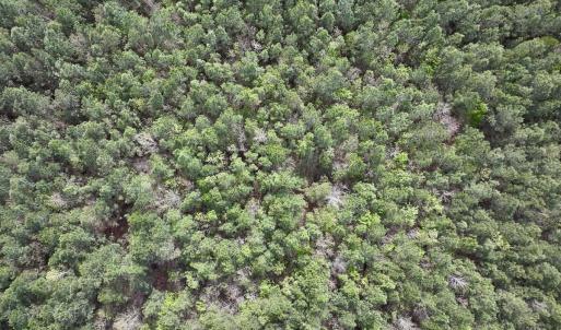 DJI_20260408153822_0048_D