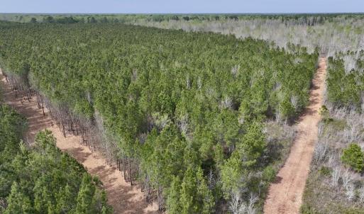 DJI_20260408153734_0044_D