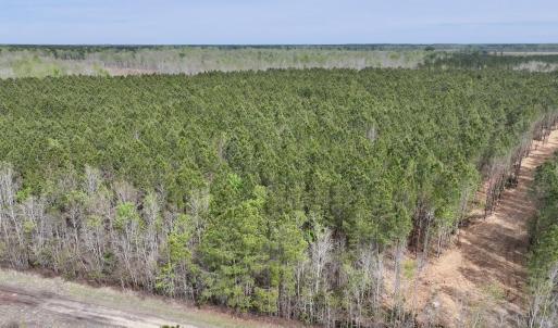 DJI_20260408153654_0042_D