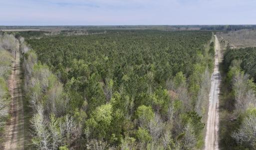 DJI_20260408153908_0051_D