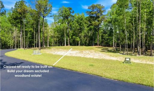 Cleared lot. Ready to build