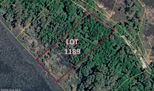 Lot 1189