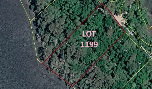 Lot 1199