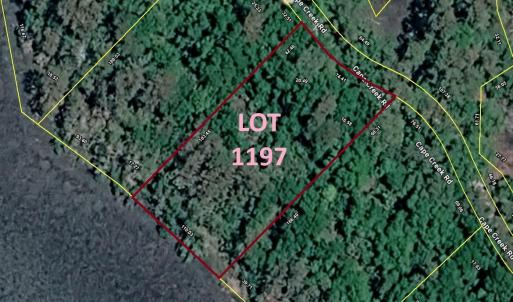 Lot 1197