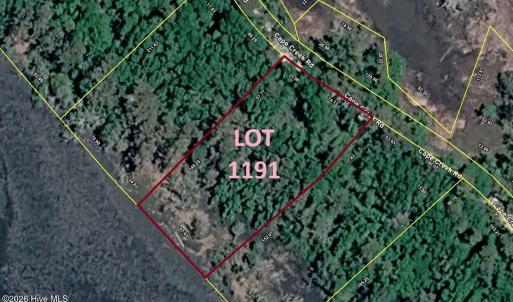 Lot 1191
