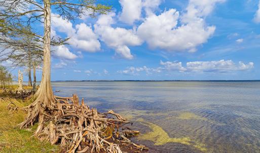 Waterfront Lot in Neuse Point East