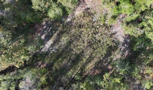 dji_fly_20241104_134200_0067_17307459210