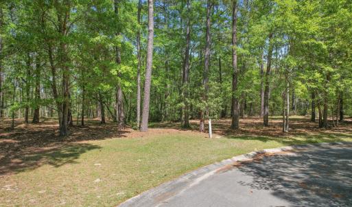 2959VerrazanoLnSE - 4