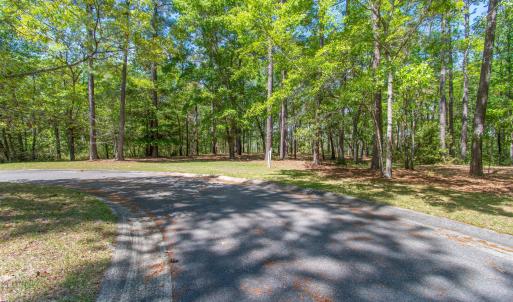 2959VerrazanoLnSE - 1