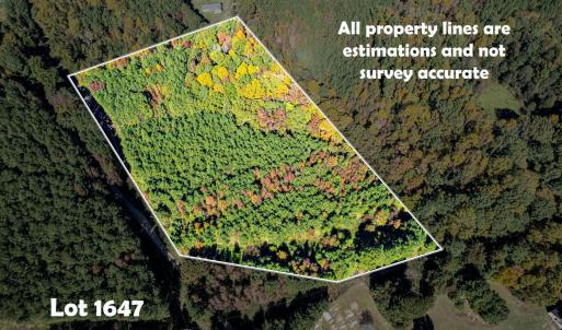 10-web-or-mls-3191 Bruce Garner (1 of 4)