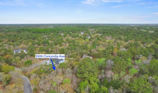 3509ConcordiaAve - 17