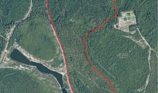 Image 4-16-26 at 10.19PM