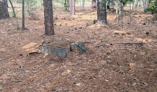 Photo #50 of 1551 Linden, Aberdeen, NC 5.0 acres