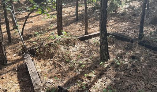 Photo #49 of 1551 Linden, Aberdeen, NC 5.0 acres