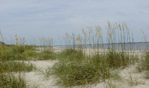 Oak Island