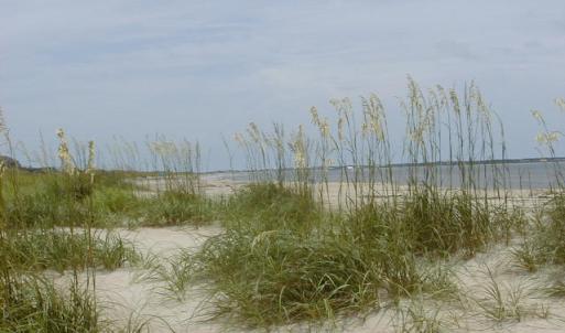 Oak Island