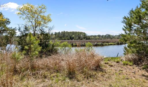 5-web-or-mls-1S3A5211