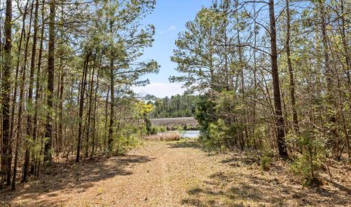 6-web-or-mls-1S3A5216