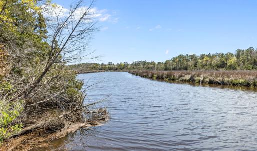 4-web-or-mls-1S3A5206