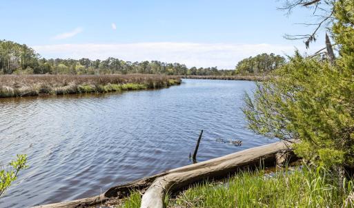 3-web-or-mls-1S3A5205