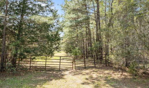 8-web-or-mls-1S3A5220