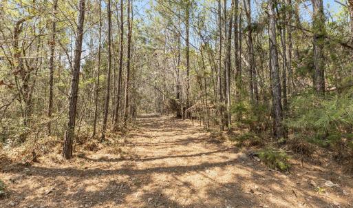 7-web-or-mls-1S3A5217