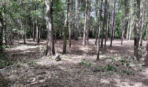 1679WMassachusettsAve_67571_3