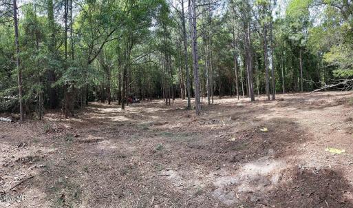 1679WMassachusettsAve_67571_4