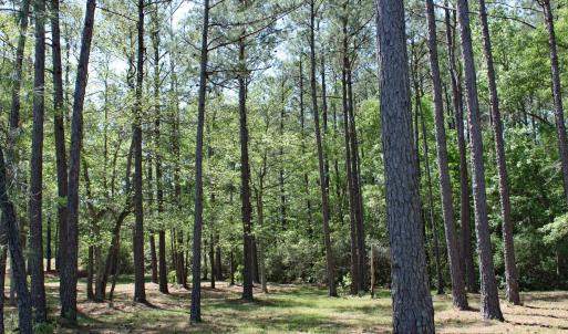 Stirling Hills Homesite