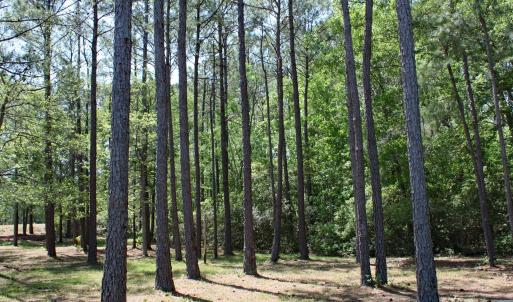 Woodsy Castlebrook Homesite