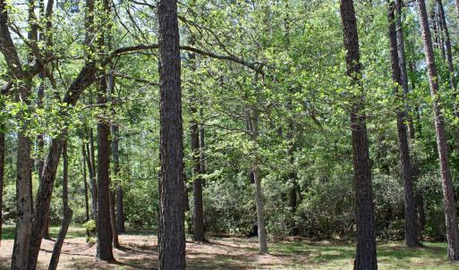 Wooded Golf Homesite
