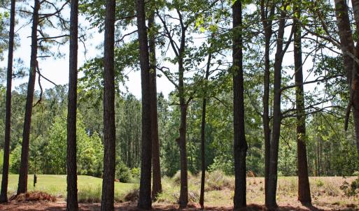 6408 Castlebrook Way