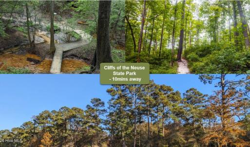 368 White Pine Cir Demorest, GA 30535-20