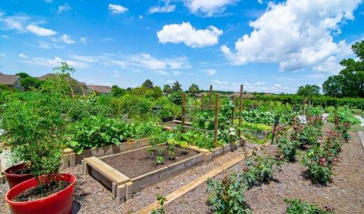 community-gardens-5