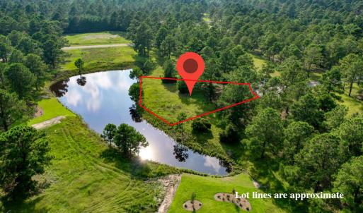 1018-Flynn-Notch05-icon