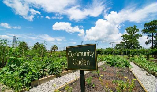 community-gardens-4